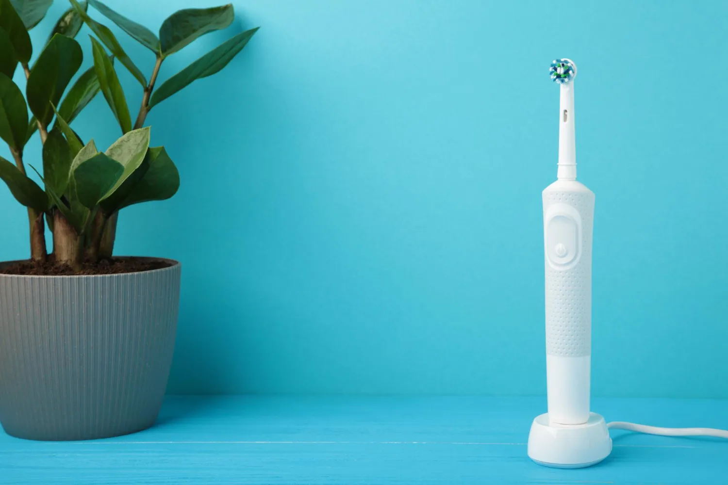 Regina sustainable oral hygiene tips Regina sustainable oral hygiene tips